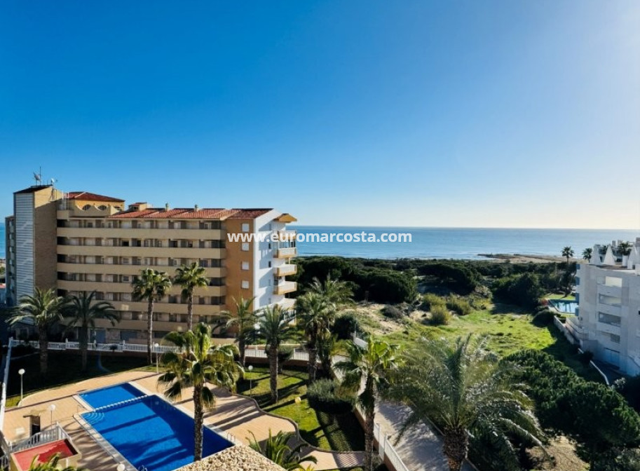 Venta - Ático - La Mata