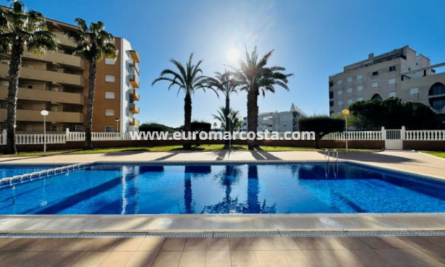 Venta - Ático - La Mata