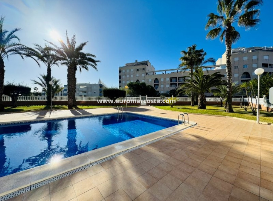 Venta - Ático - La Mata