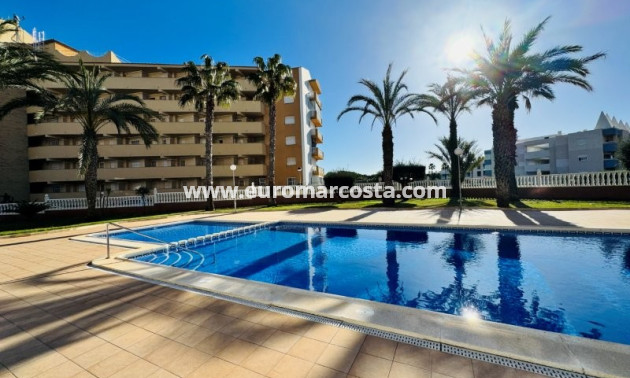 Venta - Ático - La Mata