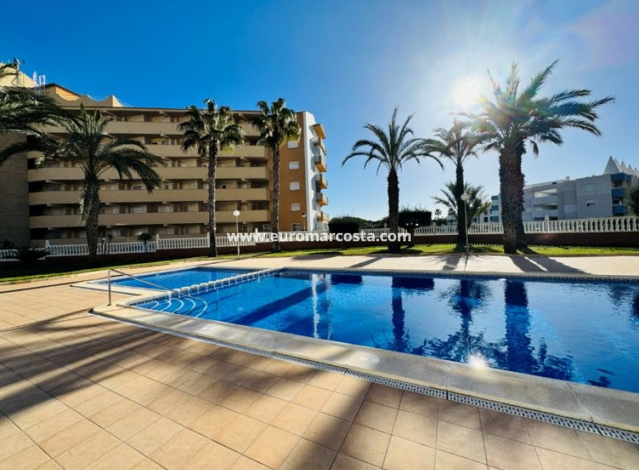 Venta - Ático - La Mata