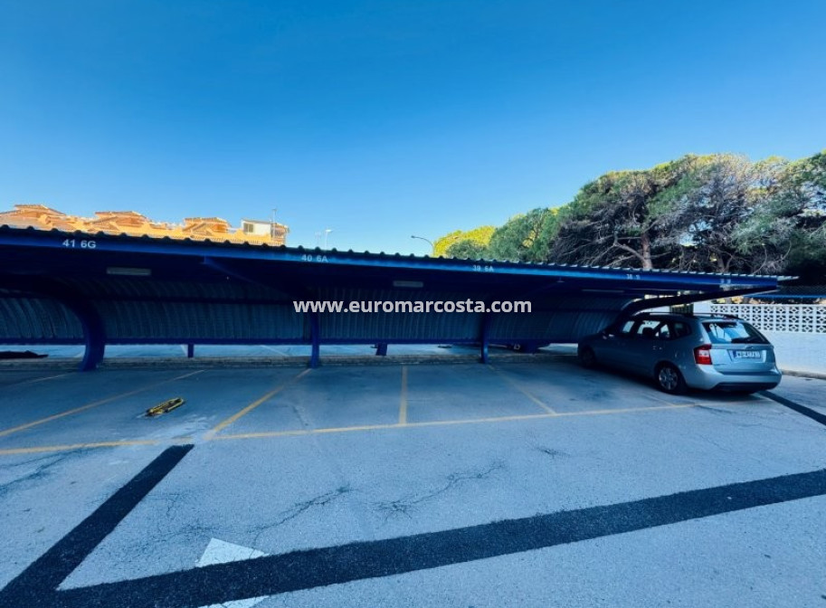 Venta - Ático - La Mata