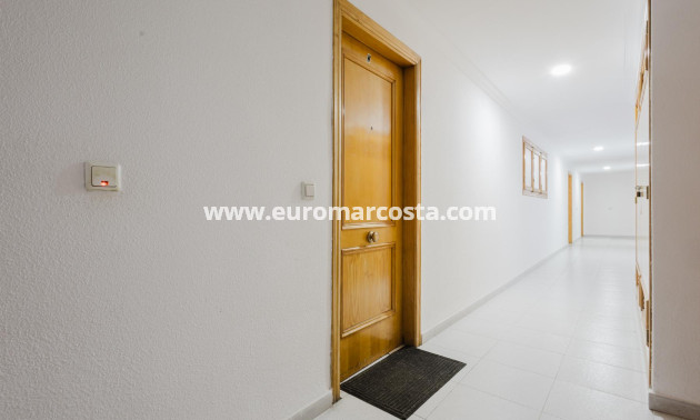 Objekte zum Wiederverkauf - Wohnung - Torrevieja - TORREVIEJA