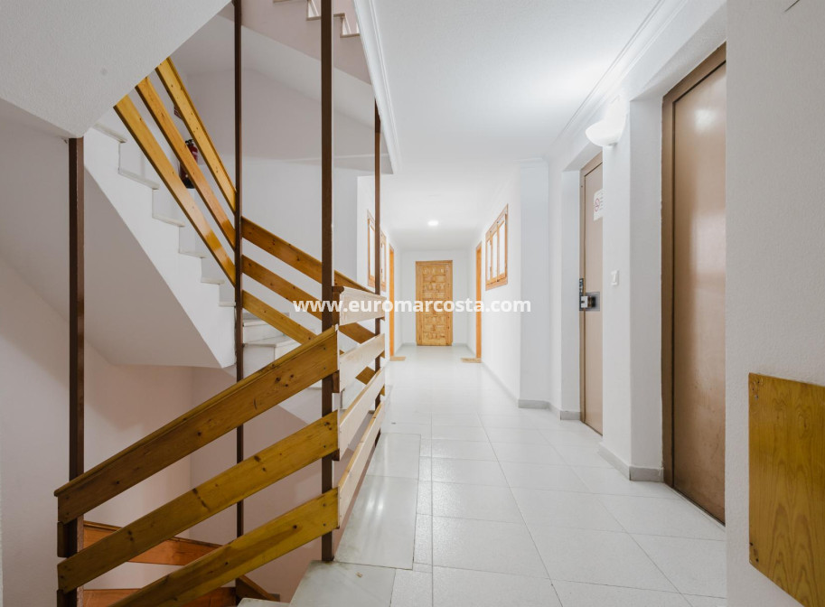 Objekte zum Wiederverkauf - Wohnung - Torrevieja - TORREVIEJA