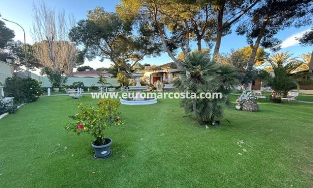Sale - Villa - Orihuela Costa