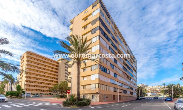 Venta - Apartamento / piso - Torrevieja - TORREVIEJA