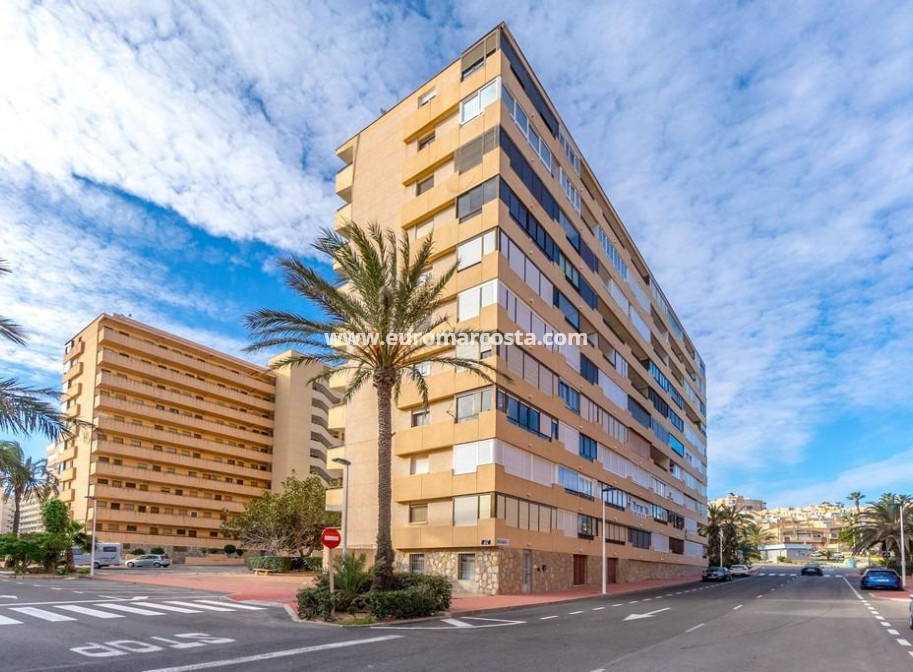 Venta - Apartamento / piso - Torrevieja - TORREVIEJA