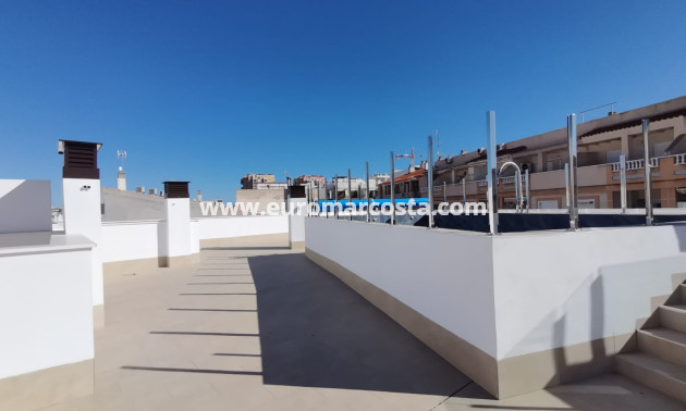 New Build - Apartment / flat - Torrevieja - TORREVIEJA
