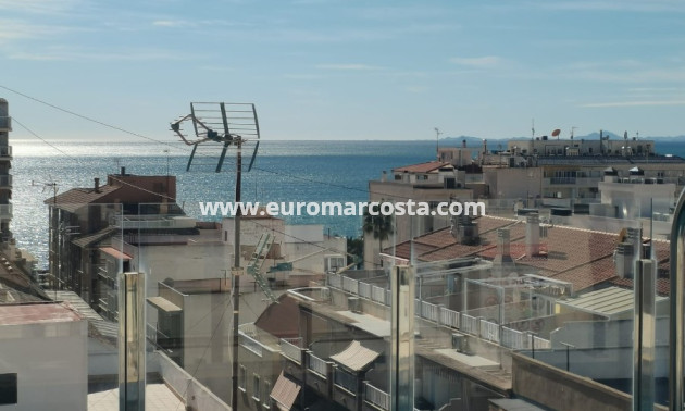 Neubauten - Wohnung - Torrevieja - TORREVIEJA