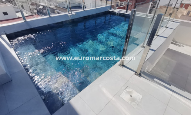 Neubauten - Wohnung - Torrevieja - TORREVIEJA