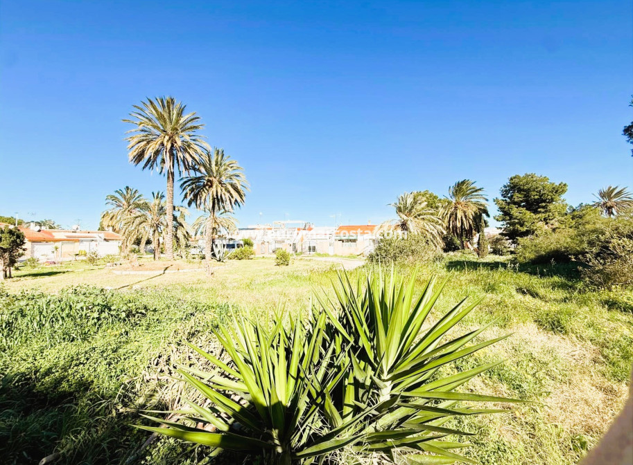 Objekte zum Wiederverkauf - Stadthaus - Torrevieja - TORREVIEJA