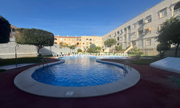 Sale - Apartment / flat - Torrevieja - TORREVIEJA