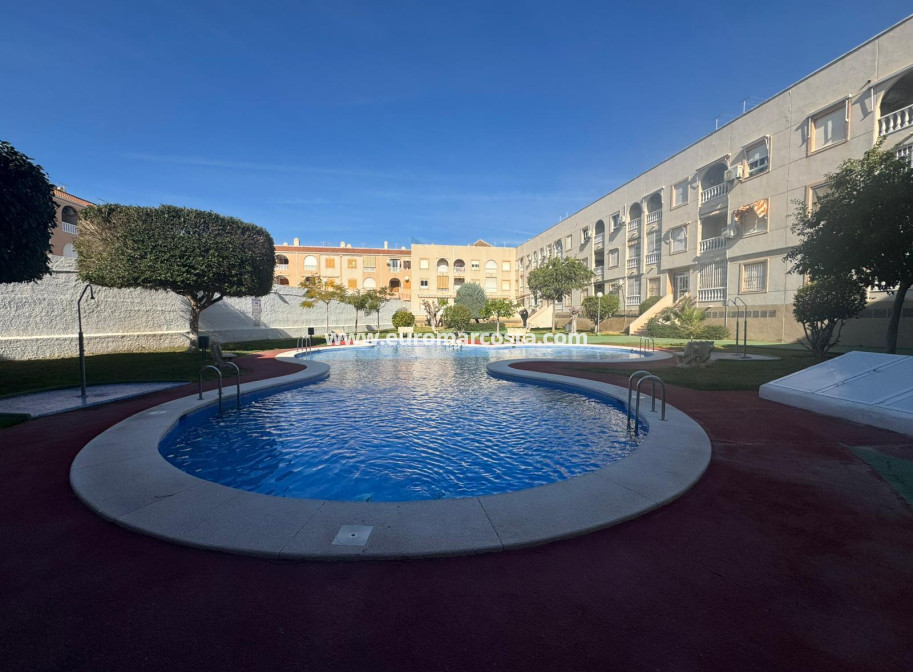 Sale - Apartment / flat - Torrevieja - TORREVIEJA