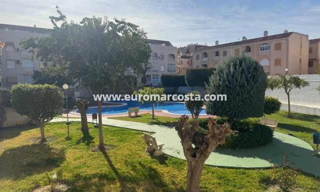 Sale - Apartment / flat - Torrevieja - TORREVIEJA