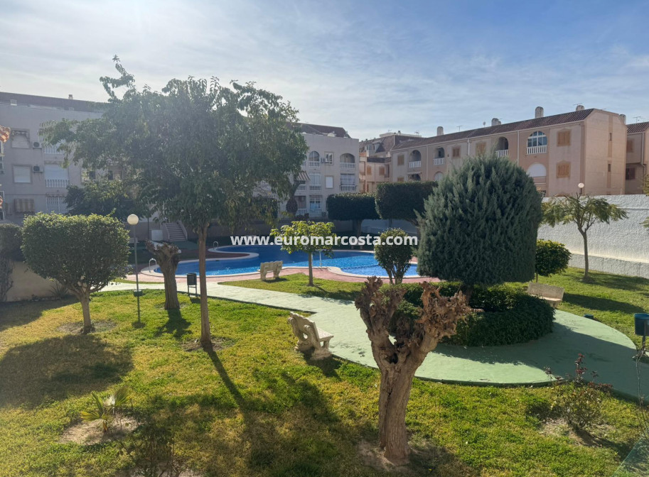 Sale - Apartment / flat - Torrevieja - TORREVIEJA