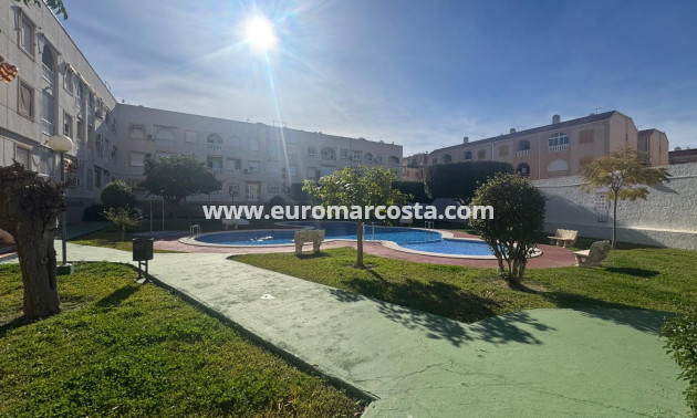 Sale - Apartment / flat - Torrevieja - TORREVIEJA