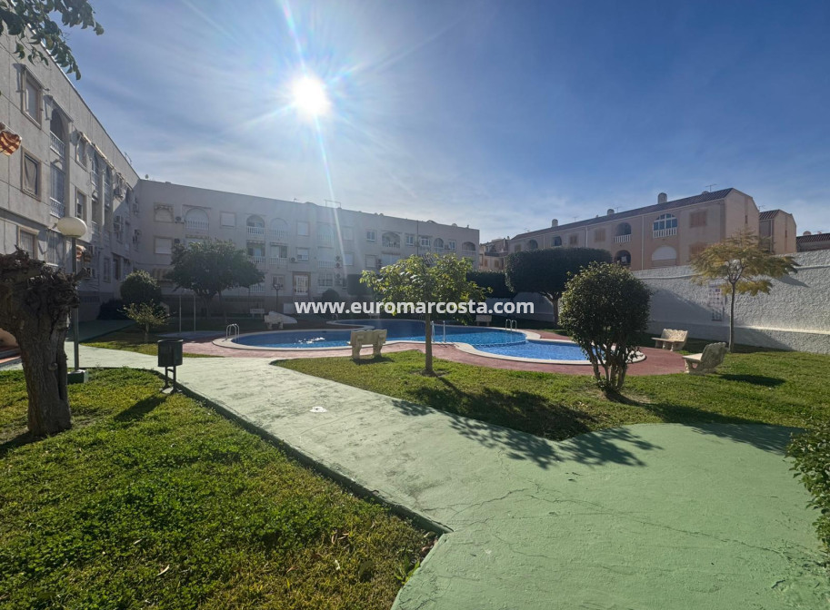 Sale - Apartment / flat - Torrevieja - TORREVIEJA