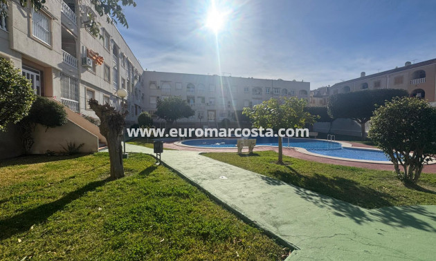 Sale - Apartment / flat - Torrevieja - TORREVIEJA