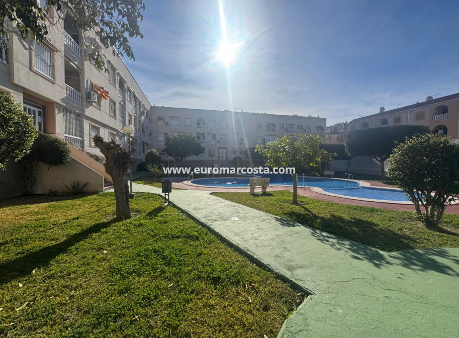 Sale - Apartment / flat - Torrevieja - TORREVIEJA