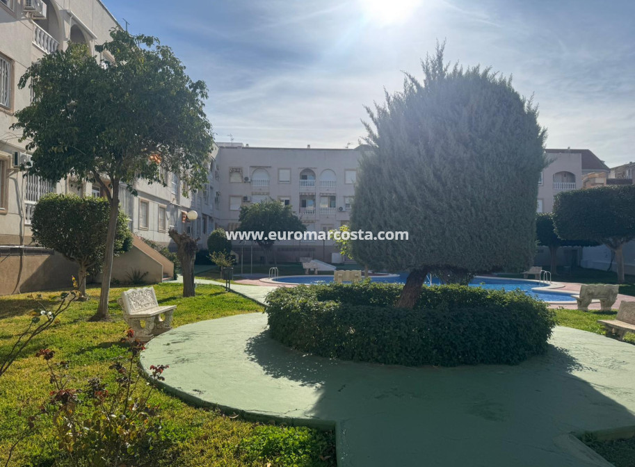 Sale - Apartment / flat - Torrevieja - TORREVIEJA
