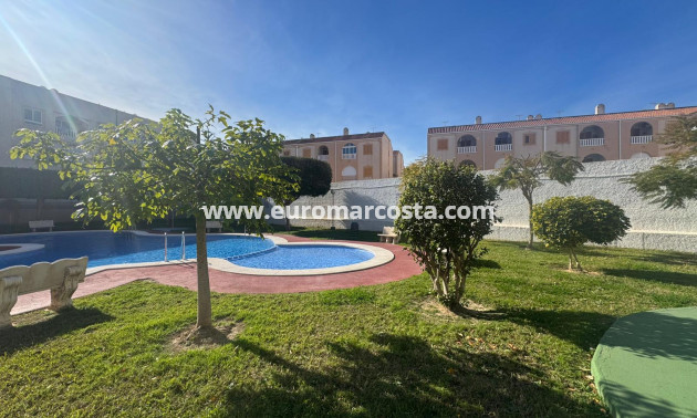 Sale - Apartment / flat - Torrevieja - TORREVIEJA
