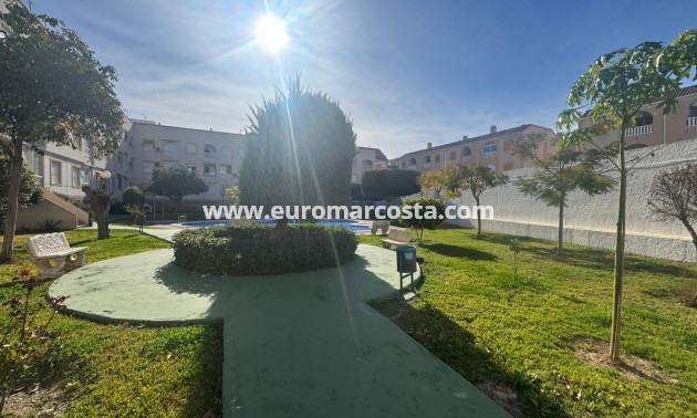 Sale - Apartment / flat - Torrevieja - TORREVIEJA