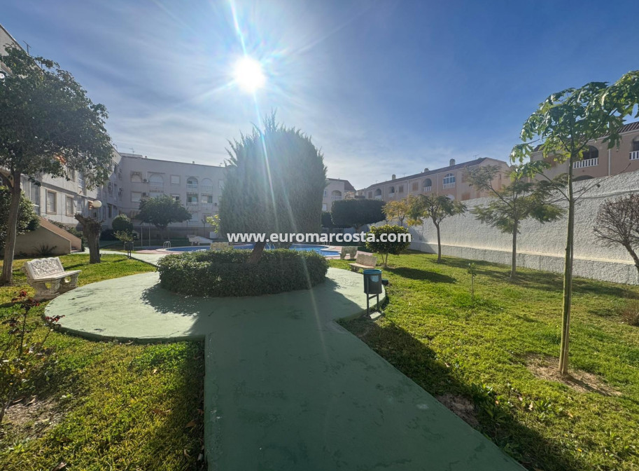 Sale - Apartment / flat - Torrevieja - TORREVIEJA