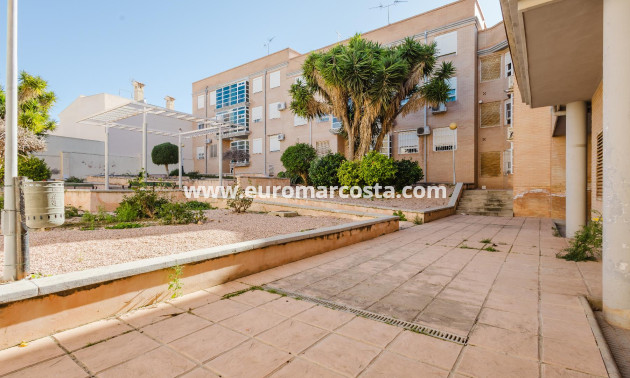 Sale - Apartment / flat - San Miguel de Salinas