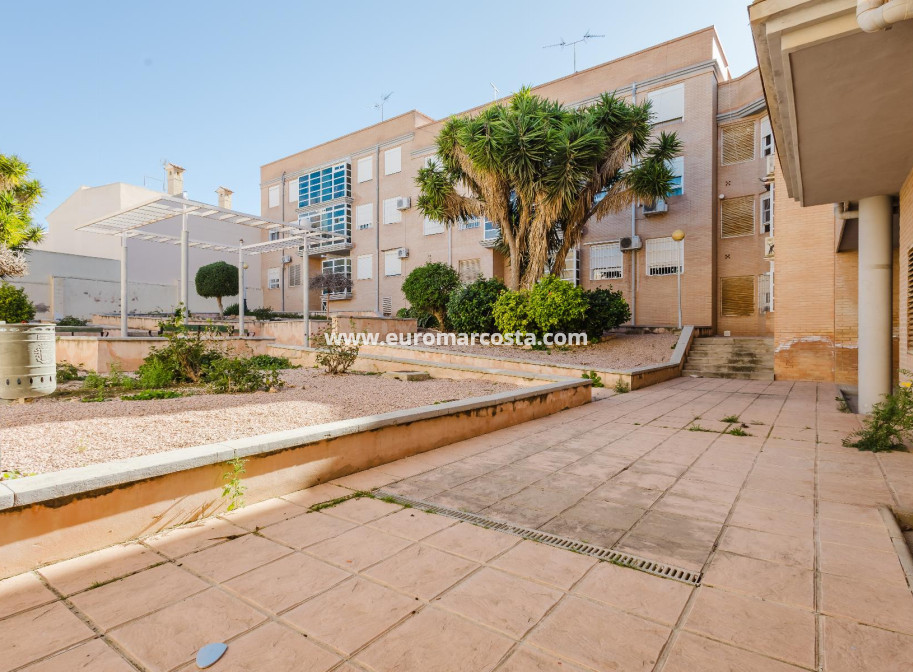 Sale - Apartment / flat - San Miguel de Salinas