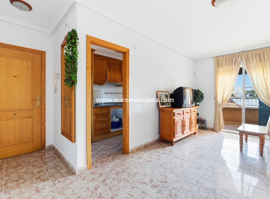 Sale - Apartment / flat - Torrevieja - TORREVIEJA