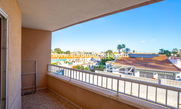 Sale - Apartment / flat - Torrevieja - TORREVIEJA
