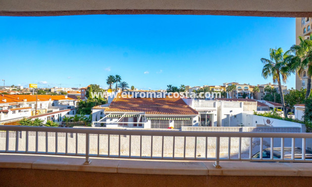 Sale - Apartment / flat - Torrevieja - TORREVIEJA