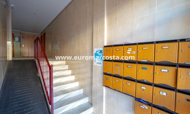 Sale - Apartment / flat - Torrevieja - TORREVIEJA