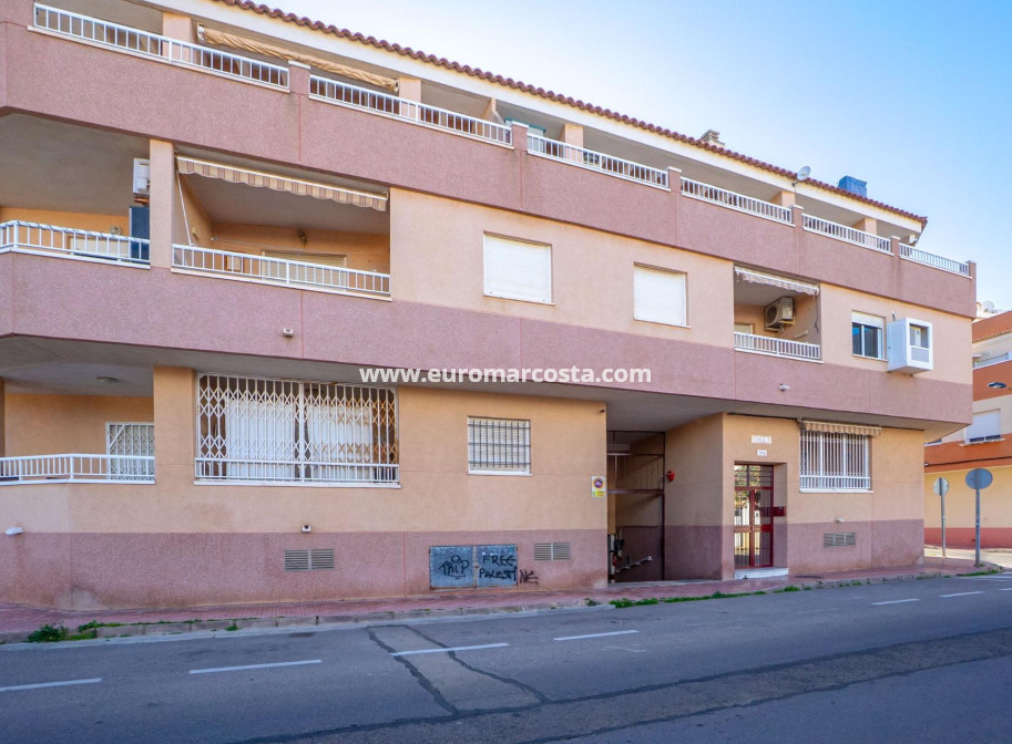 Sale - Apartment / flat - Torrevieja - TORREVIEJA