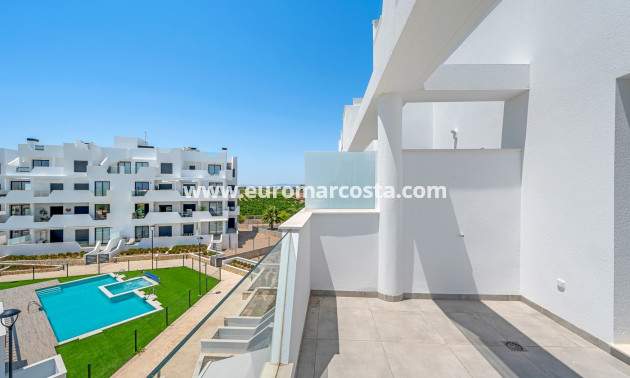 Sale - Apartments - Torre Pacheco