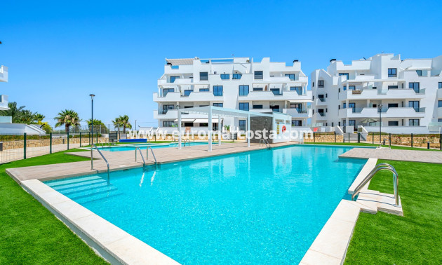 Sale - Apartments - Torre Pacheco