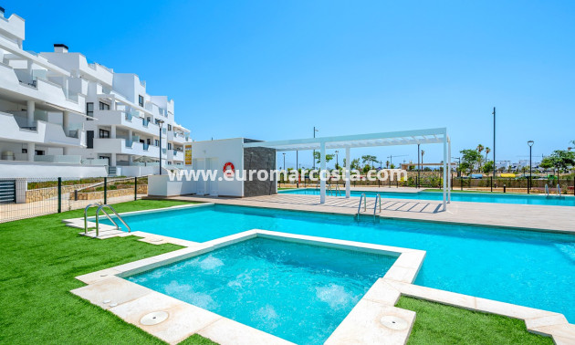 Sale - Apartments - Torre Pacheco