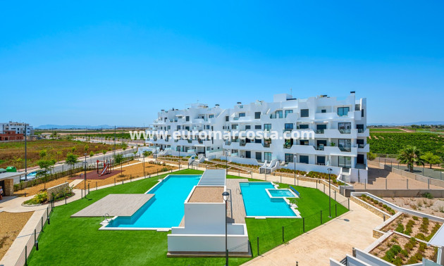 Sale - Apartments - Torre Pacheco