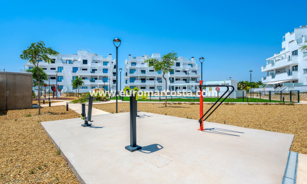 Sale - Apartments - Torre Pacheco