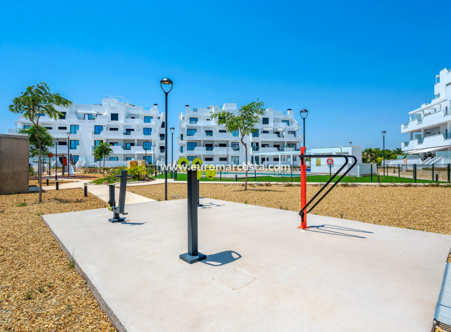 Sale - Apartments - Torre Pacheco