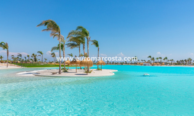 Sale - Apartments - Torre Pacheco