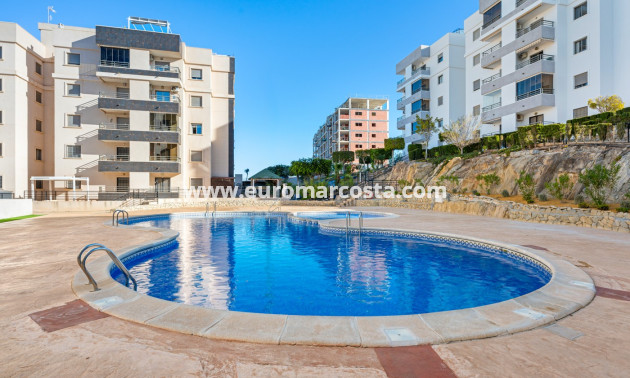Venta - Apartments - San Miguel de Salinas - San Miguel