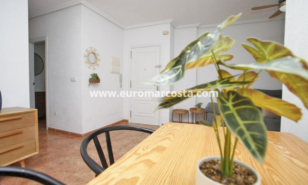 Objekte zum Wiederverkauf - Wohnung - Torrevieja - TORREVIEJA