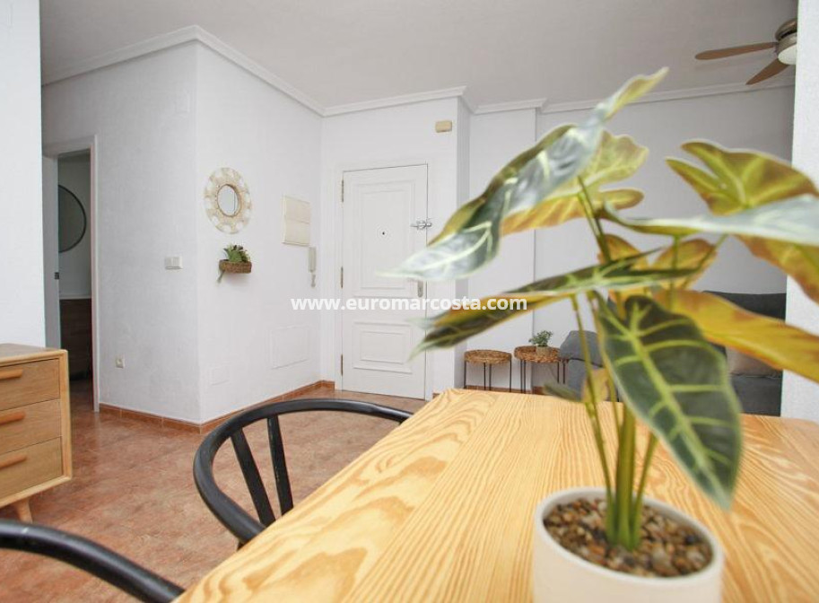 Objekte zum Wiederverkauf - Wohnung - Torrevieja - TORREVIEJA