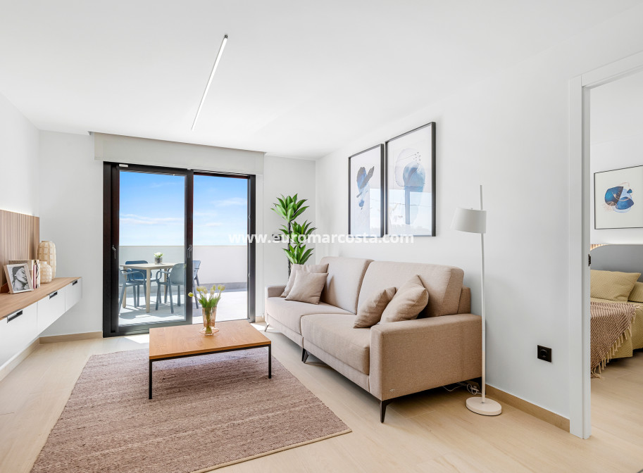 New Build - Penthouse - Guardamar del Segura