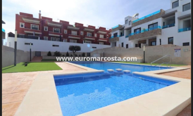 New Build - terraced - Bigastro