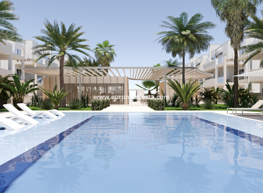 New Build - ground-floor - Torre Pacheco