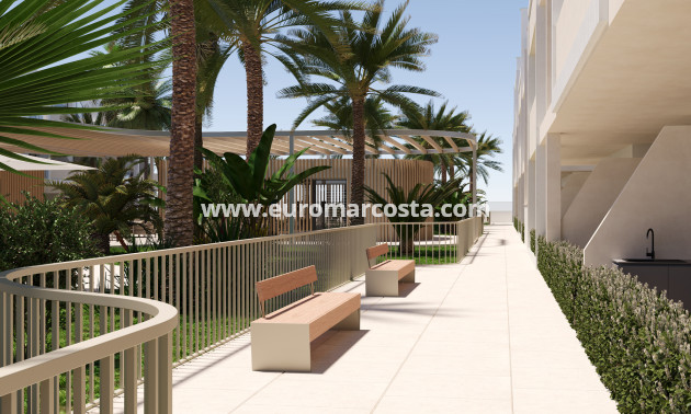 New Build - ground-floor - Torre Pacheco