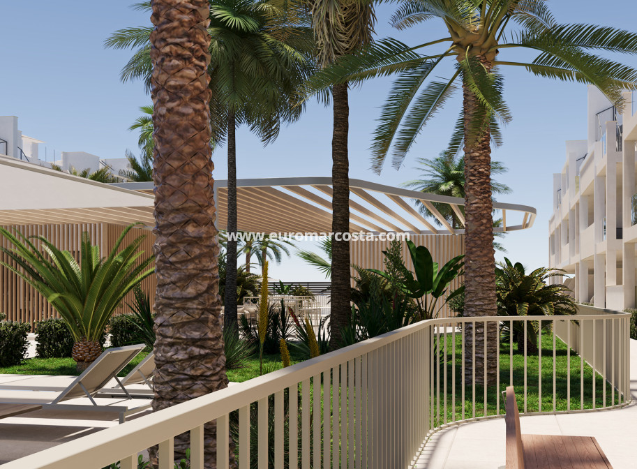 New Build - ground-floor - Torre Pacheco