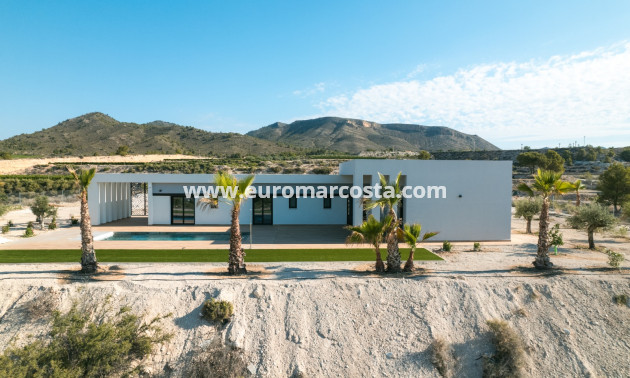 New Build - detached - Pinoso